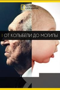   От колыбели до могилы (2017)